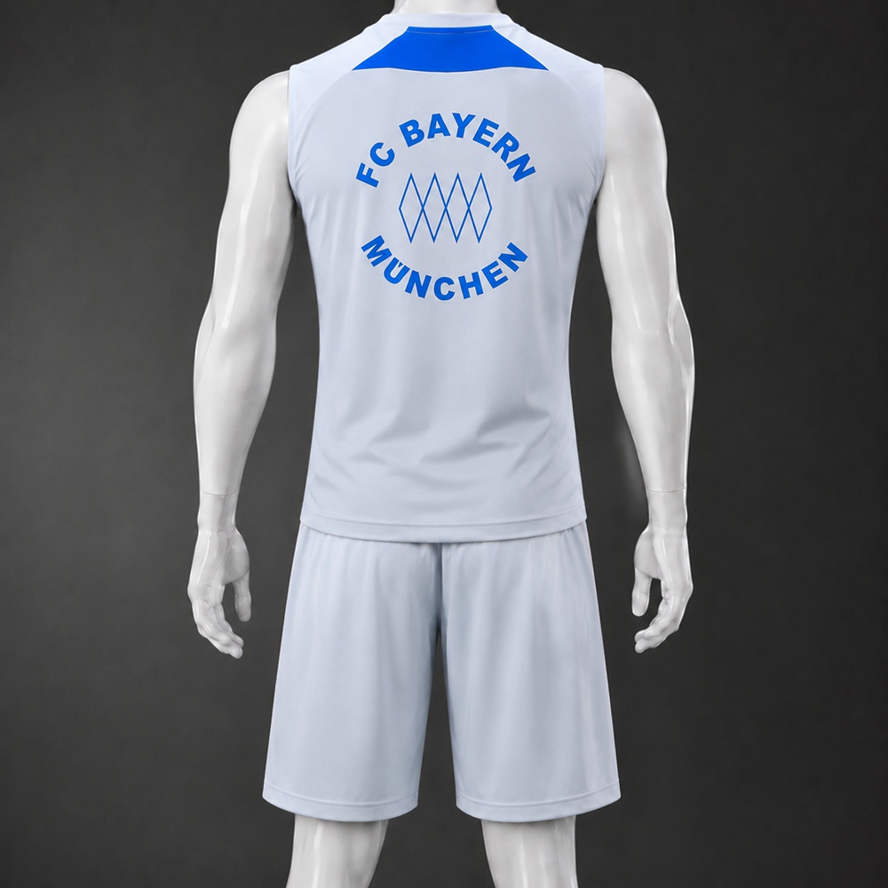 Bayern Munich 25/26 Light Gray Blue Red Training Vest kit Foto 2