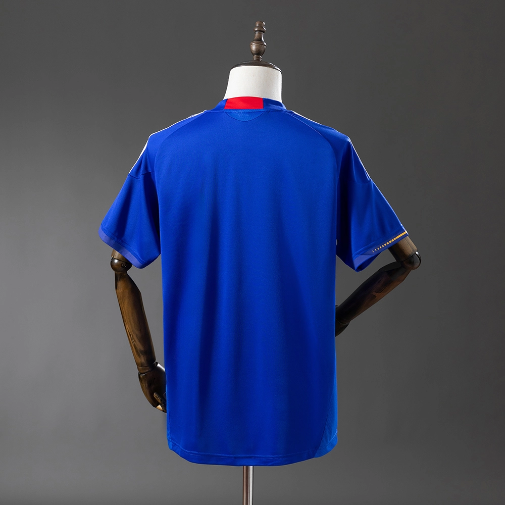 Japan 2010 Home Retro Jersey Foto 2