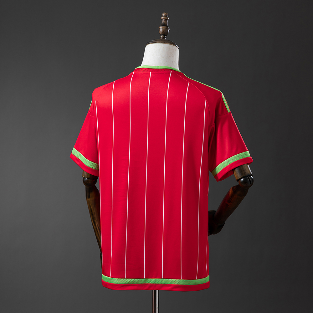 Wales 15/16 home Retro Jersey Foto 2