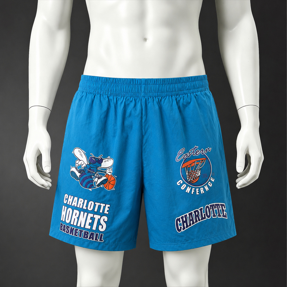 Charlotte Hornets City Edition Basketball NBA Shorts Silk Version