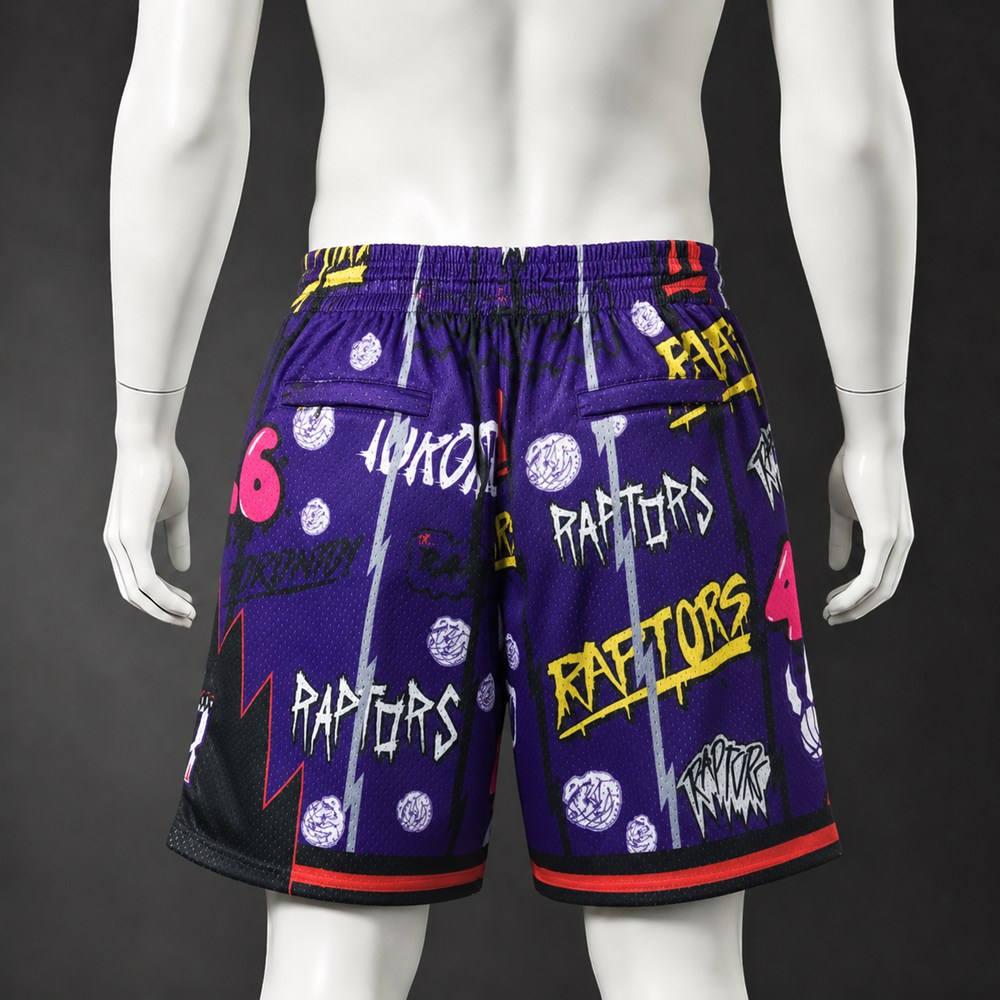 Toronto Raptors  Basketball NBA Shorts Embroidered Version Foto 2
