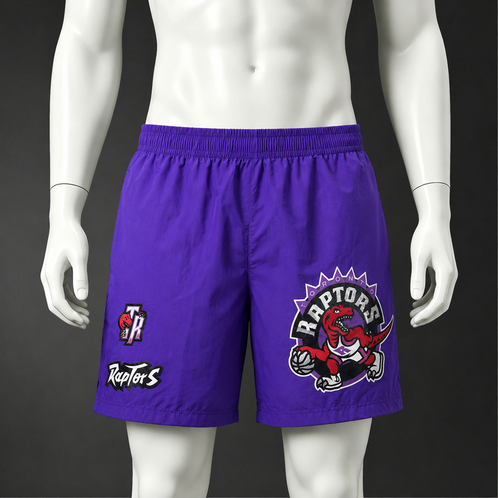 Toronto Raptors Classic Edition Basketball NBA Shorts Silk Version